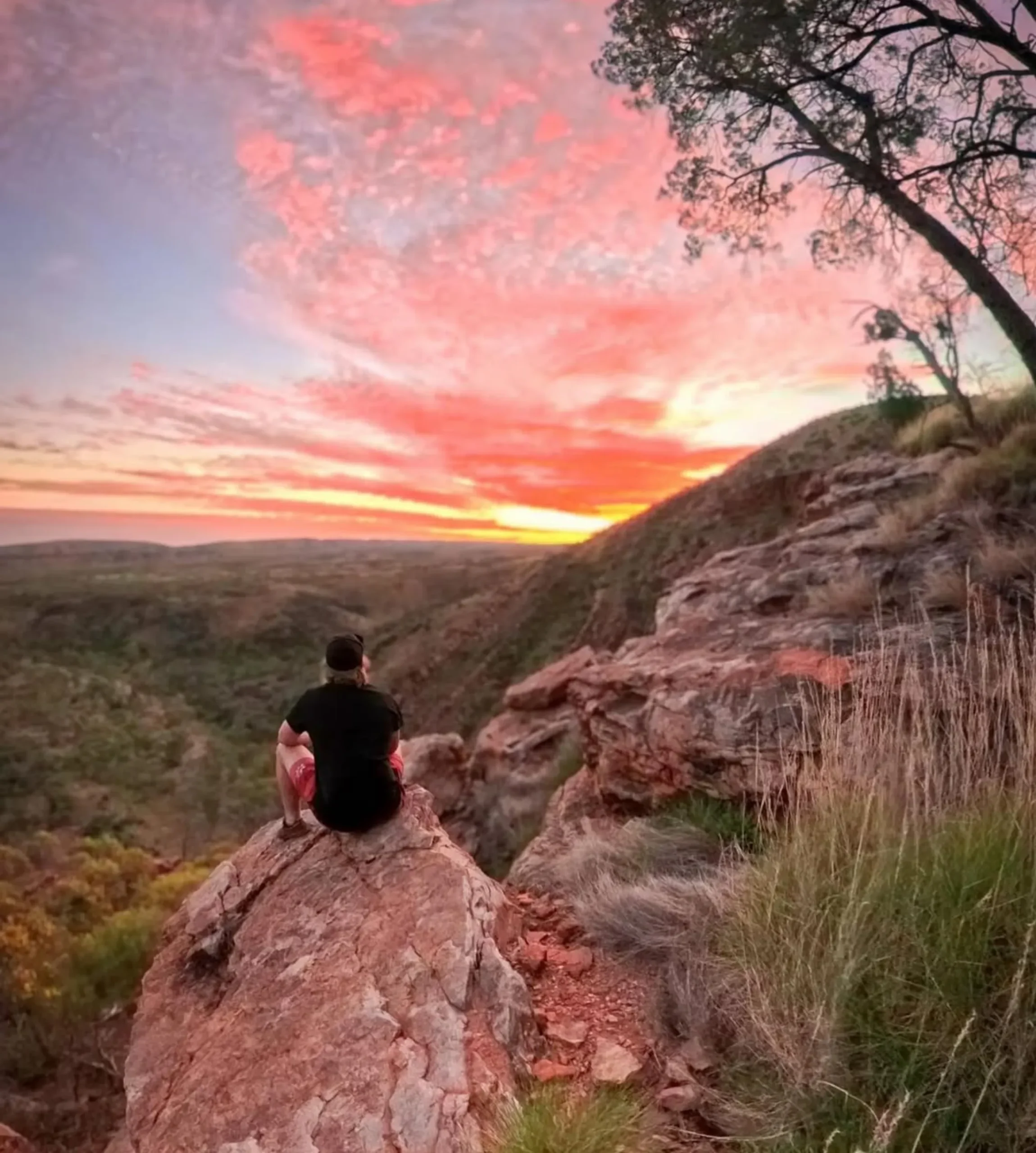 Larapinta Trail tour