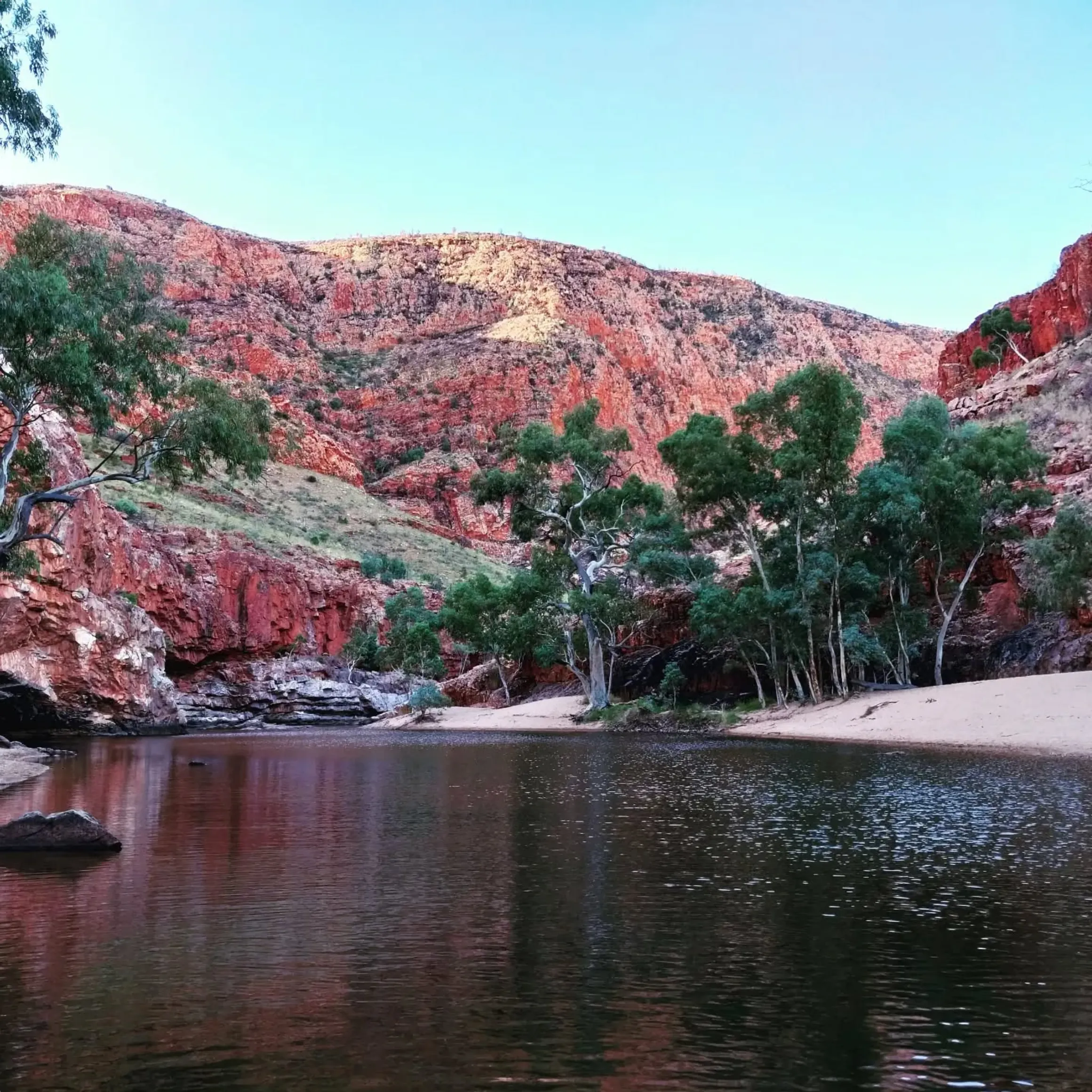 Larapinta walking tours